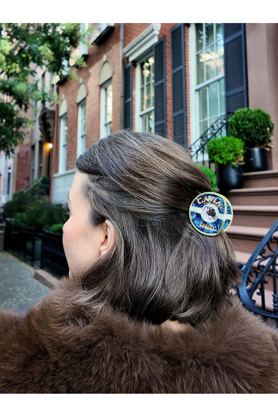 Hand-painted Caviar Claw Hair Clip Solar Eclipse