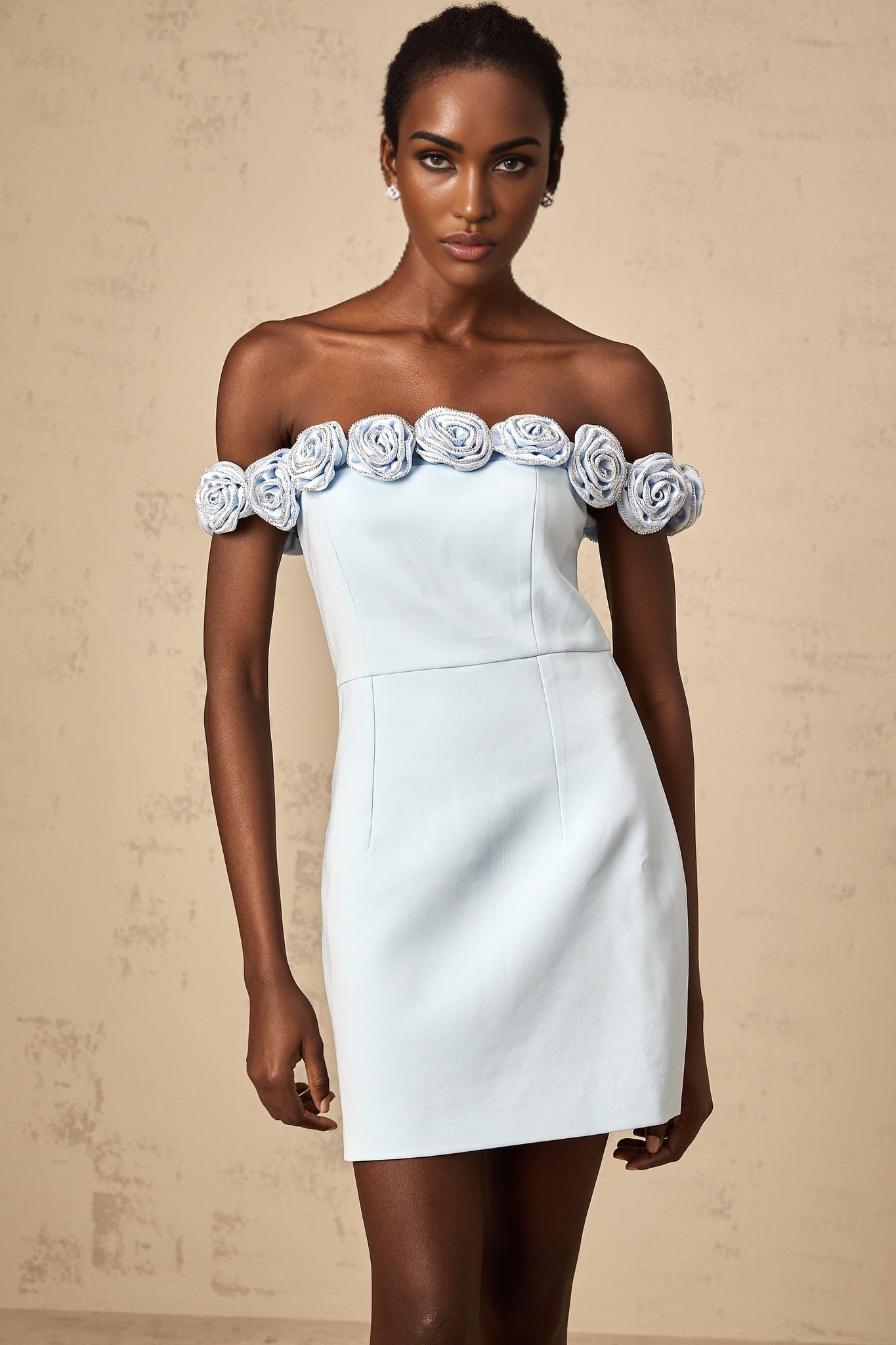 A light blue mini dress with floral appliqués featuring a feminine silhouette and delicate flower details