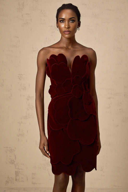 A short red velvet mini dress with floral appliques featuring a fitted silhouette and delicate floral embellishments against the rich fabric