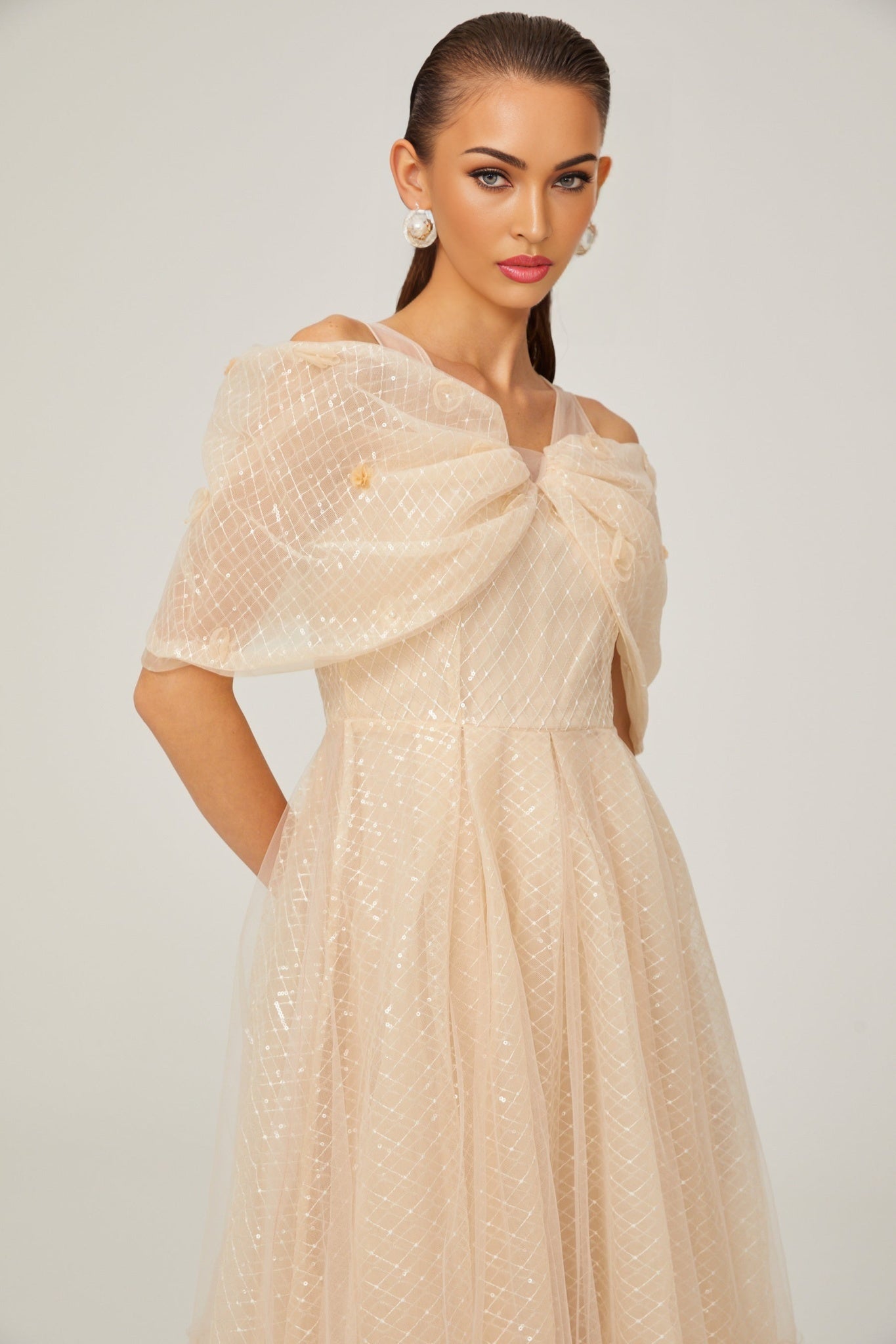 Danielle sequined tulle midi dress
