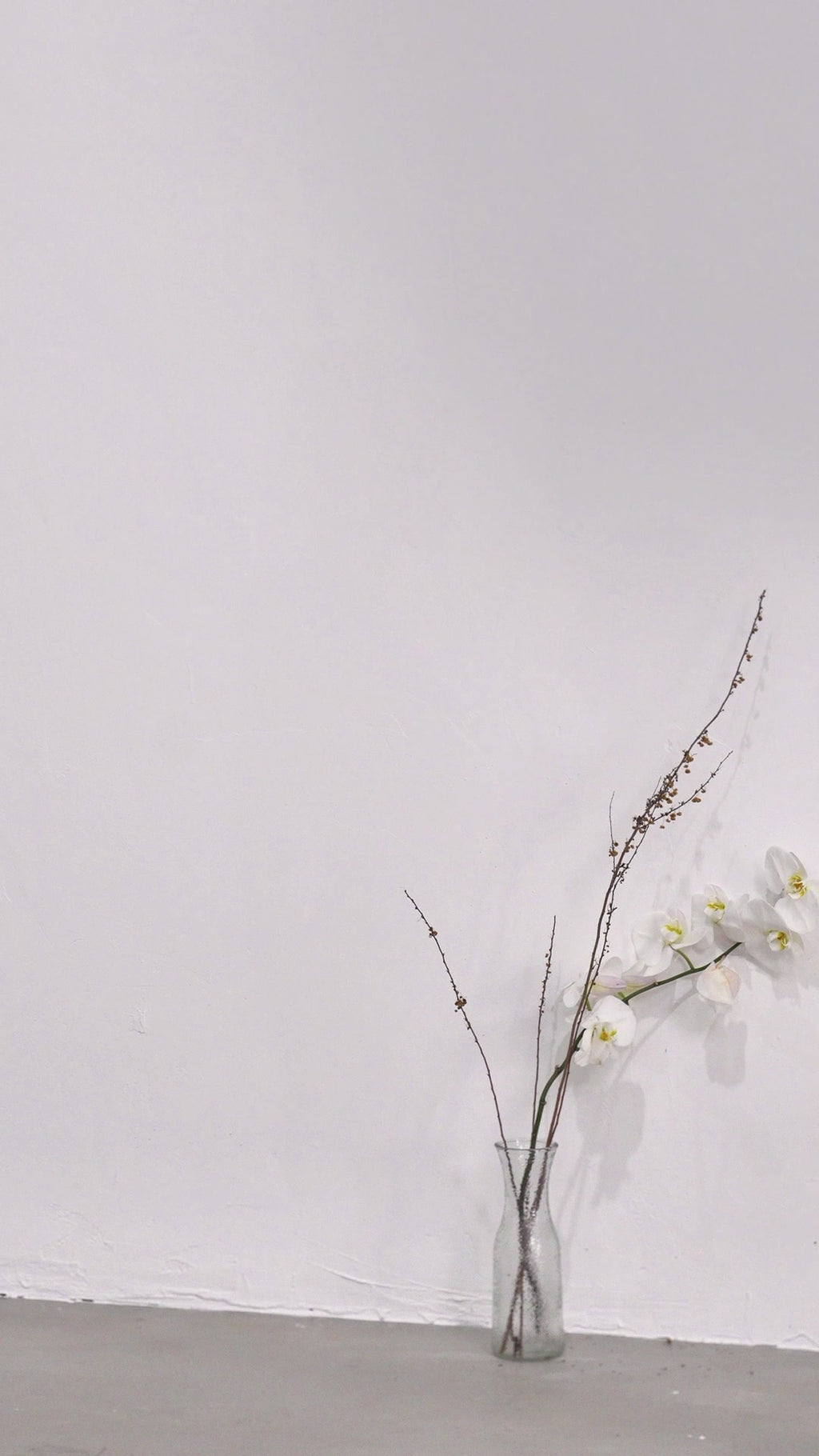 Désirée brown embellished halter neck bodycon maxi dress