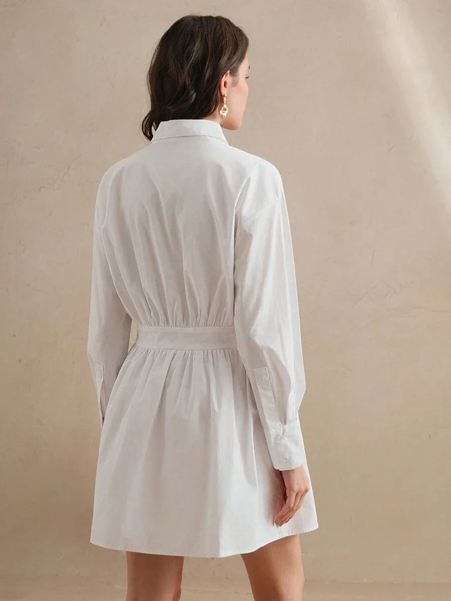 French Style Embroidery Waist Splice Design Long Sleeve Pleated Mini Dress Spring Outfits For Women