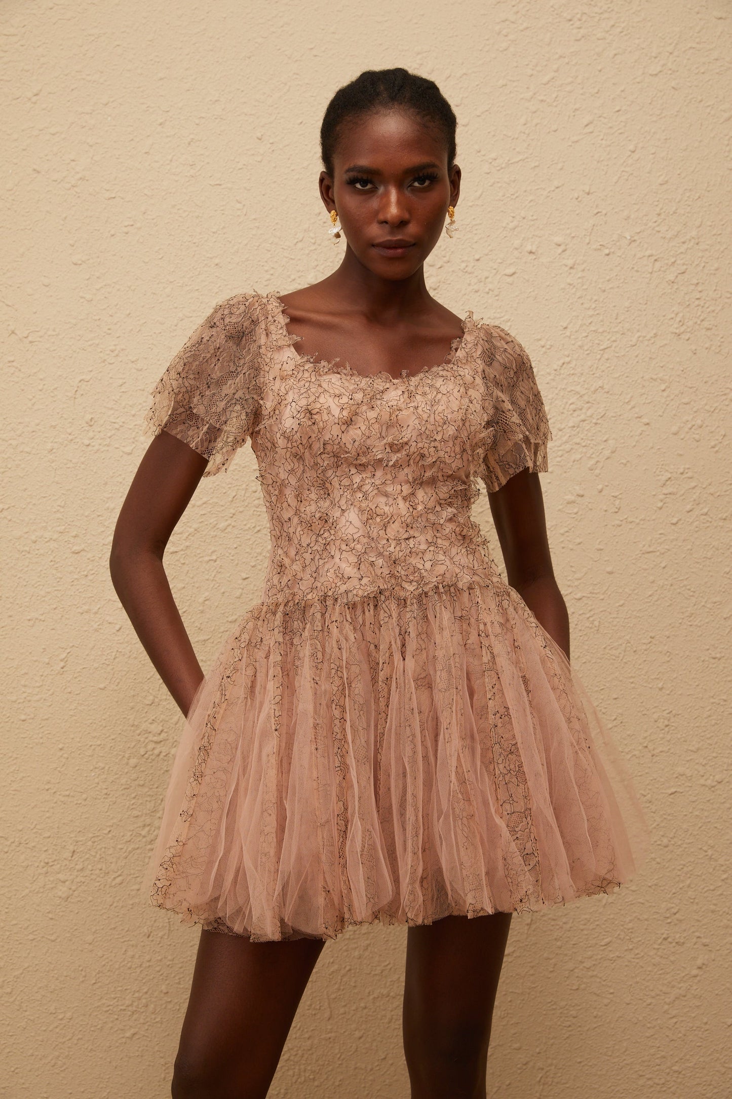Gaëtane Brown Tulle Panel Lace Mini Dress