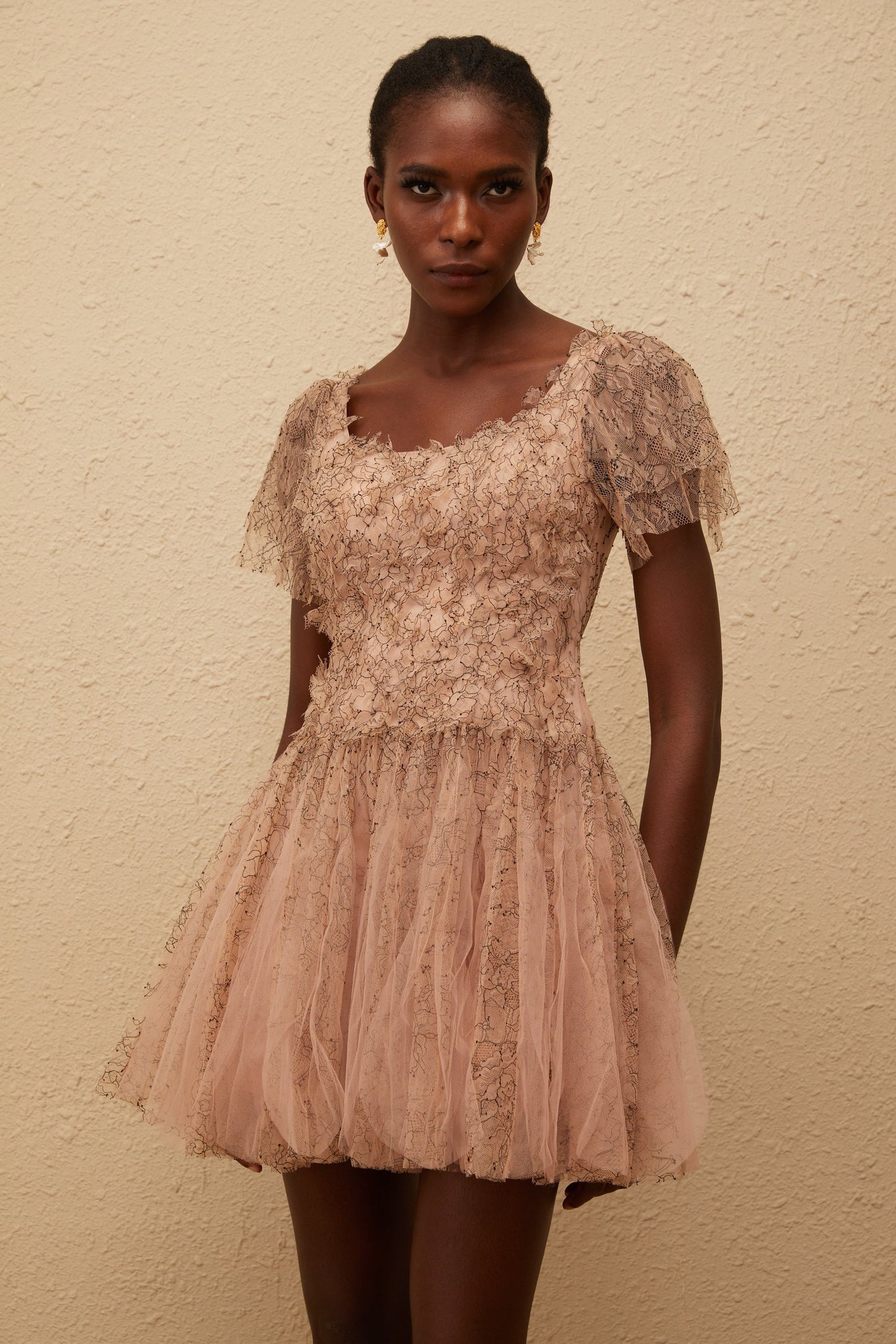 Gaëtane Brown Tulle Panel Lace Mini Dress