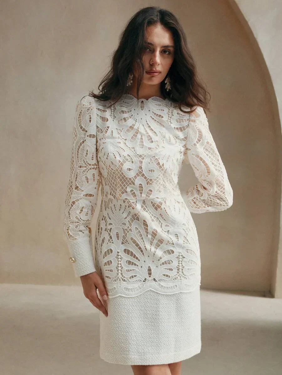 Ladies Spring amp Autumn Elegant Solid Color Lace Contrast Mini DressLadies Elegant Zipper Long