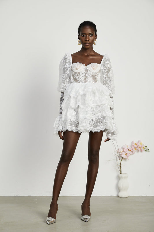 Nadine semisheer lacetrim mini dress