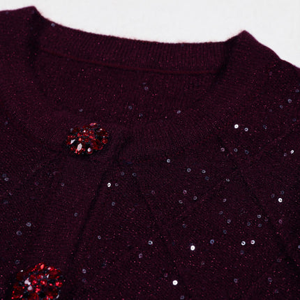 Jasmine Van Hoef Sparkle Knit Cardigan And Mini Skirt Set