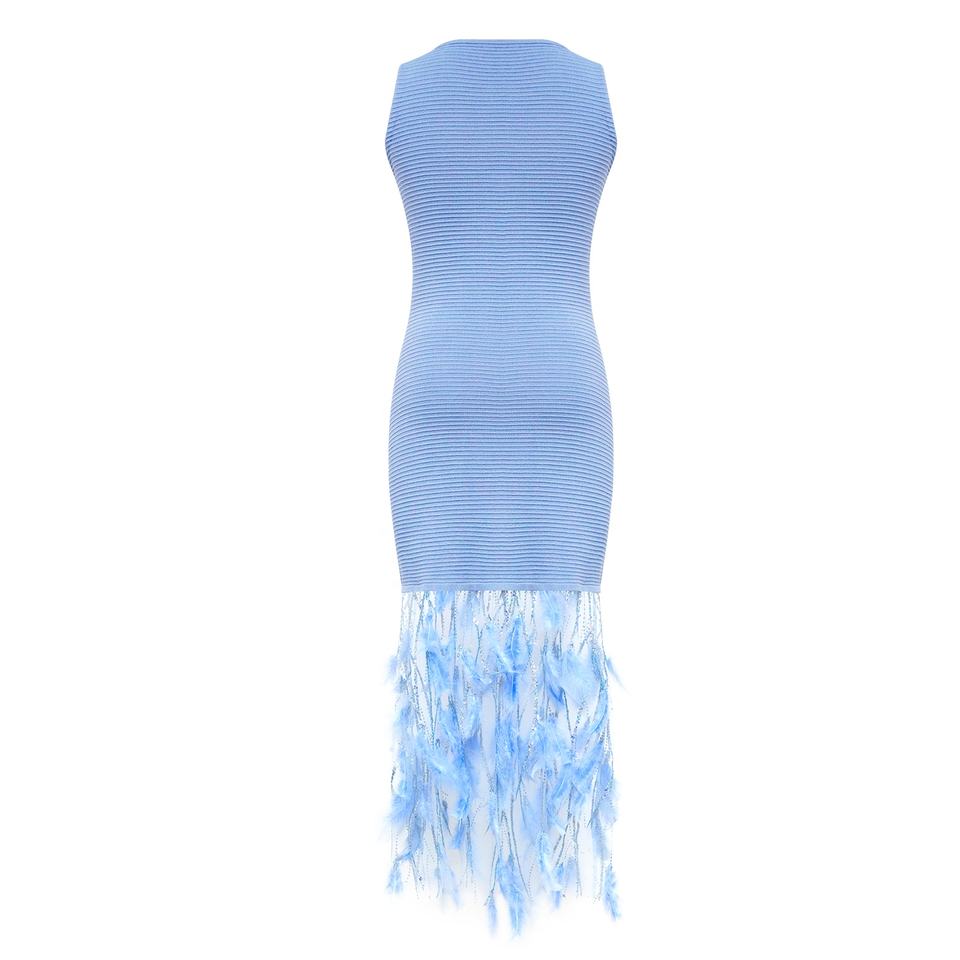 Evening Dress – Feather Fringe Hem – Sleeveless Bodycon – Luxury Chic Style