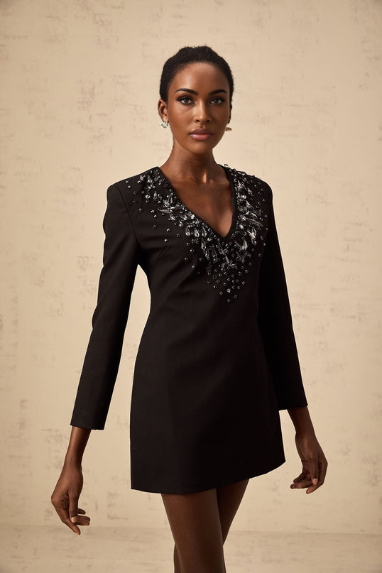 A black mini dress with a plunging V neckline adorned with crystal embellishments featuring a fitted silhouette and short length
