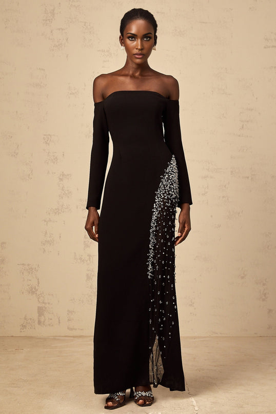 A long black maxi dress with sheer mesh panels and embellished details featuring a fitted silhouette and sleeveless design