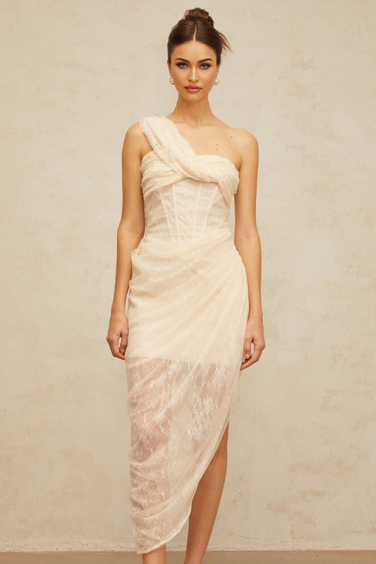 A romantic midi dress with a floral lace design featuring gathered tulle panels and a delicate petunia inspired pattern