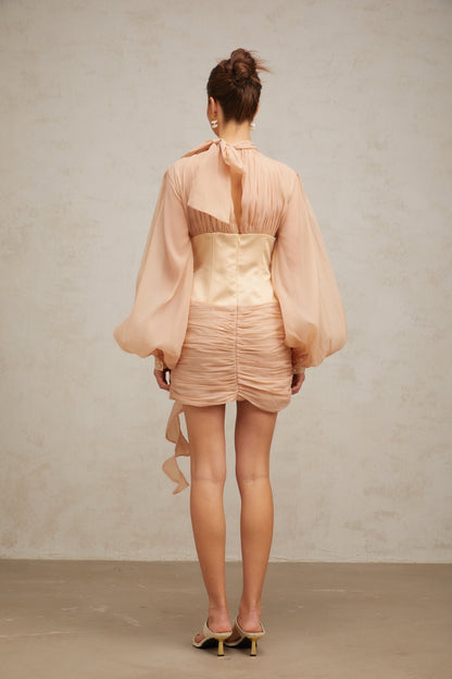 A short floral dress with cinched waist and floral appliques on a paneled design