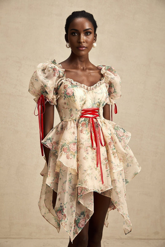A short floral print mini dress with a layered tulle skirt and tieup detail featuring a Salome style design