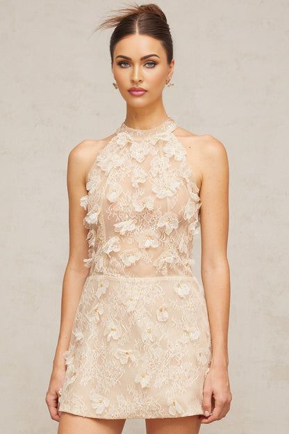 A short lace mini dress in neutral tones with floral appliques decorating the fabric
