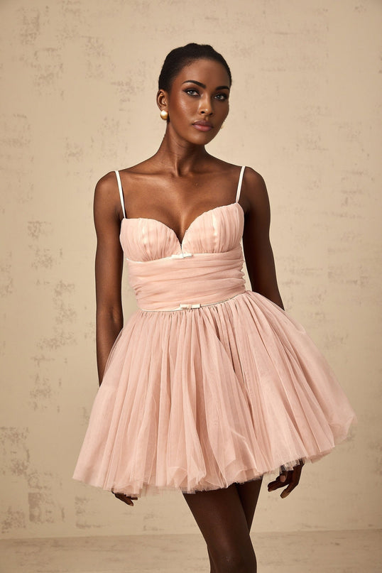 A sleeveless mini dress with a pleated tulle skirt and fitted bodice