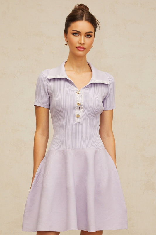A young woman wearing a light purple mini dress with a fitted bodice and flared skirt The dress features shirred detailing and is made of knit fabric The model stands in a relaxed pose showcasing the dresses flowy silhouette