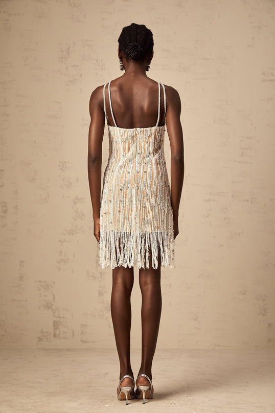 Ainsley Neutrals Crystal Sequin Mini Dress