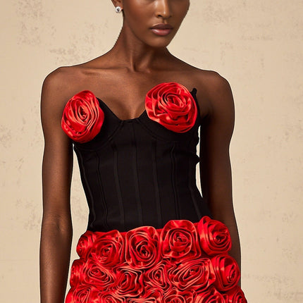 Alessandrina Red & Black Skirt Top Set Matching Outfit
