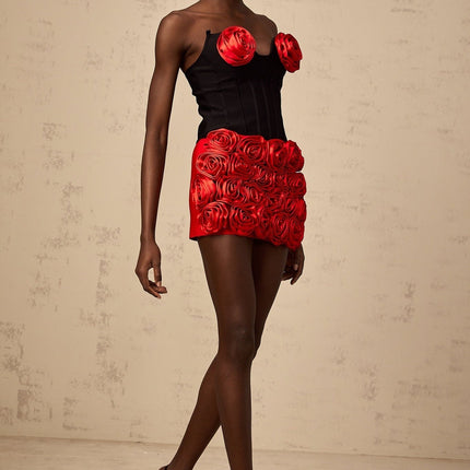 Alessandrina Red & Black Skirt Top Set Matching Outfit
