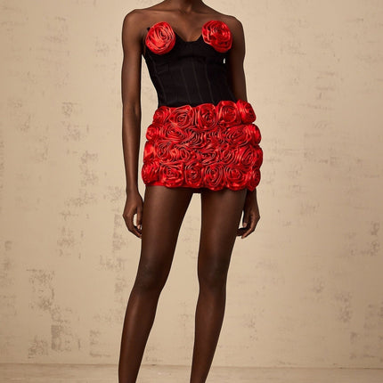 Alessandrina Red & Black Skirt Top Set Matching Outfit