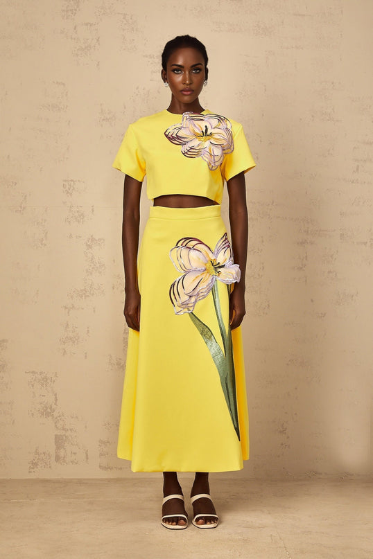 Alexa Yellow Floral Appliqué Top Skirt Set
