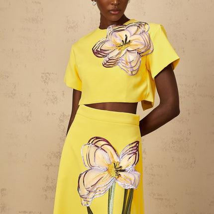 Alexa Yellow Floral Appliqué Top Skirt Set