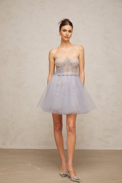 Aloïse grey mini dress with embellishments and puff tulle sleeves on a white background