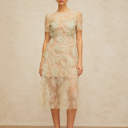 Angel Green Lace Midi Dress with Boned Bodice and Half Lining