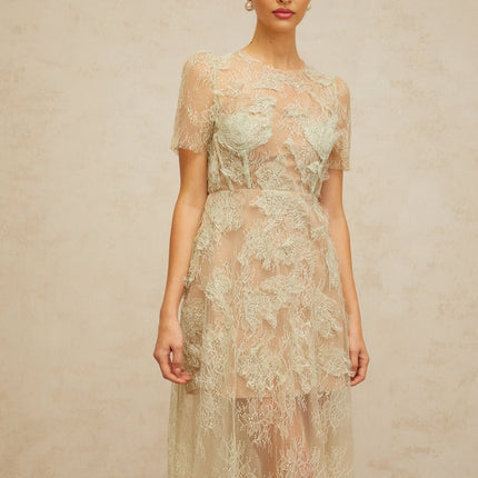 Angel Green Lace Midi Dress with Boned Bodice and Semi-Sheer Construction