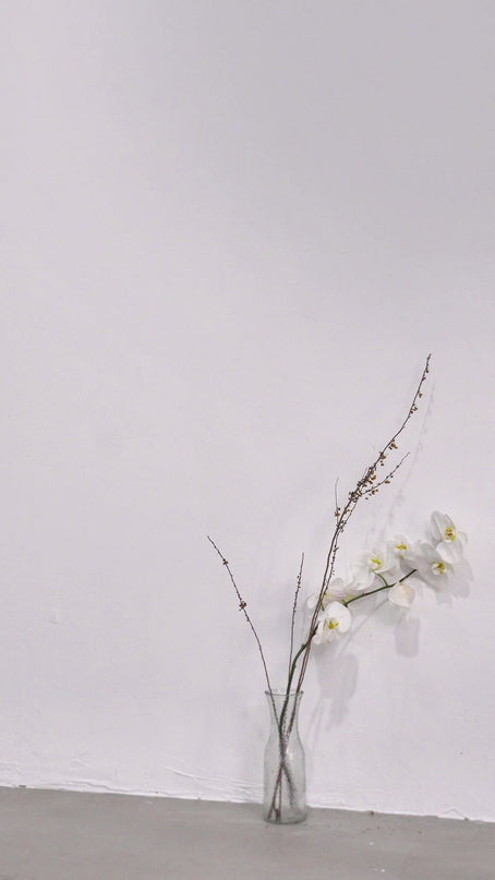 Beau black triple loop bodysuit