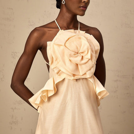Benedetta Salmon Pink Maxi Dress with Halterneck Design and Open Back