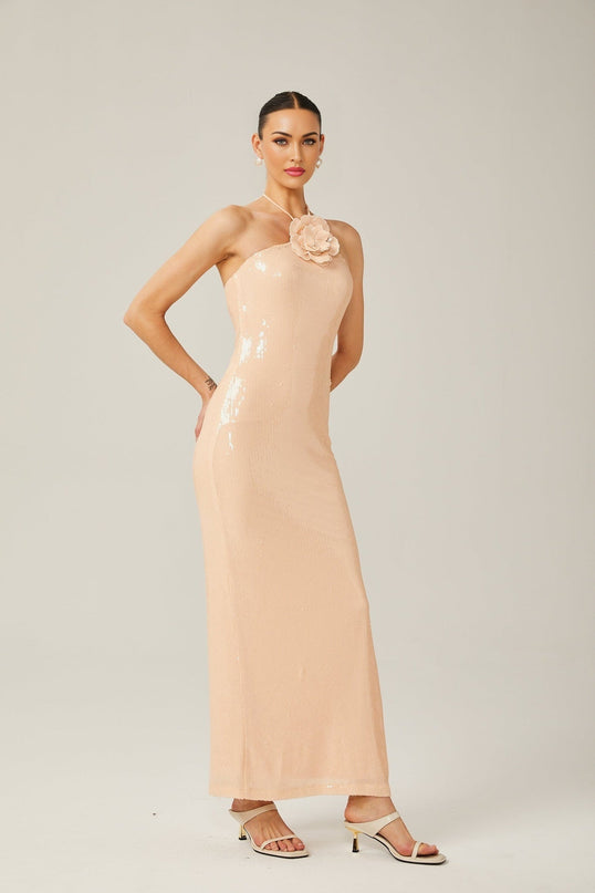 Bristol Blush Beige Sequin Embellished Halterneck Maxi Dress