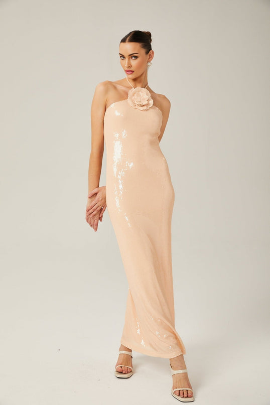 Bristol Maxi Dress in Blush Beige Sequin Embellished Halterneck Terylene Fabric