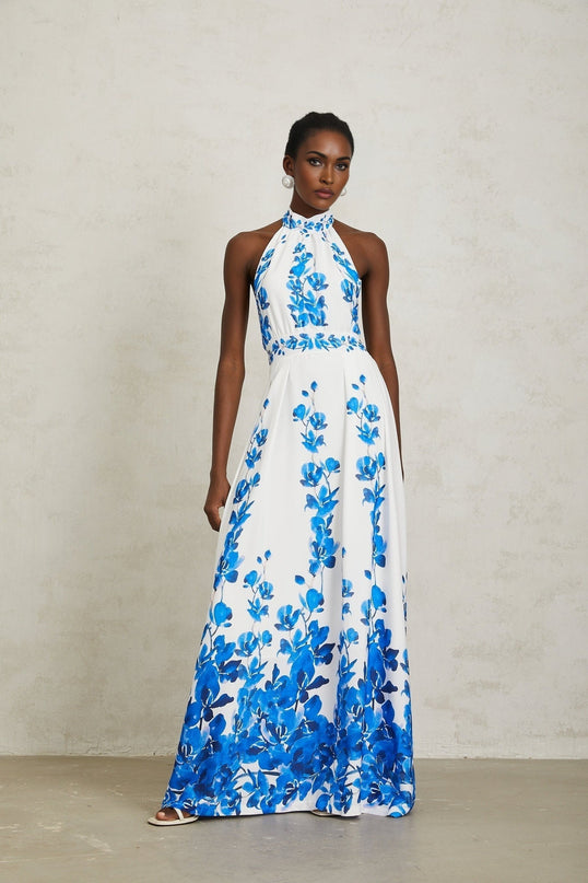 Caitlyn Blue and White Floral Maxi Dress with Open Back Design