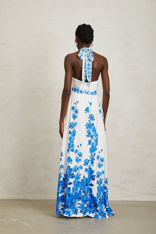 Caitlyn Maxi Dress in Blue and White Floral Print