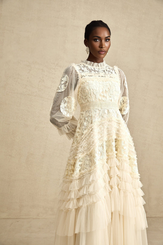 Capucine floralembroidered layered tulle maxi dress