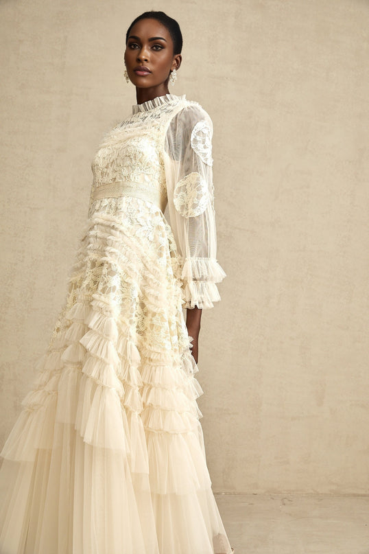 Capucine floralembroidered layered tulle maxi dress