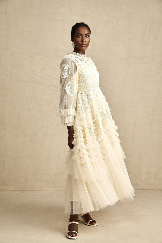 Capucine floralembroidered layered tulle maxi dress