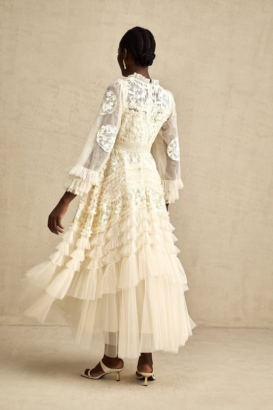 Capucine floralembroidered layered tulle maxi dress