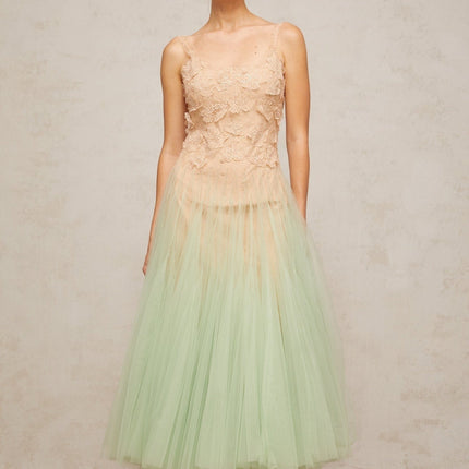 Carla Green Floral Lace Midi Dress with Gradient Effect