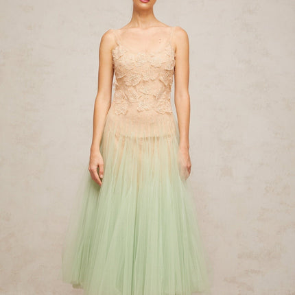 Carla Green Floral Lace Midi Dress with Gradient Effect