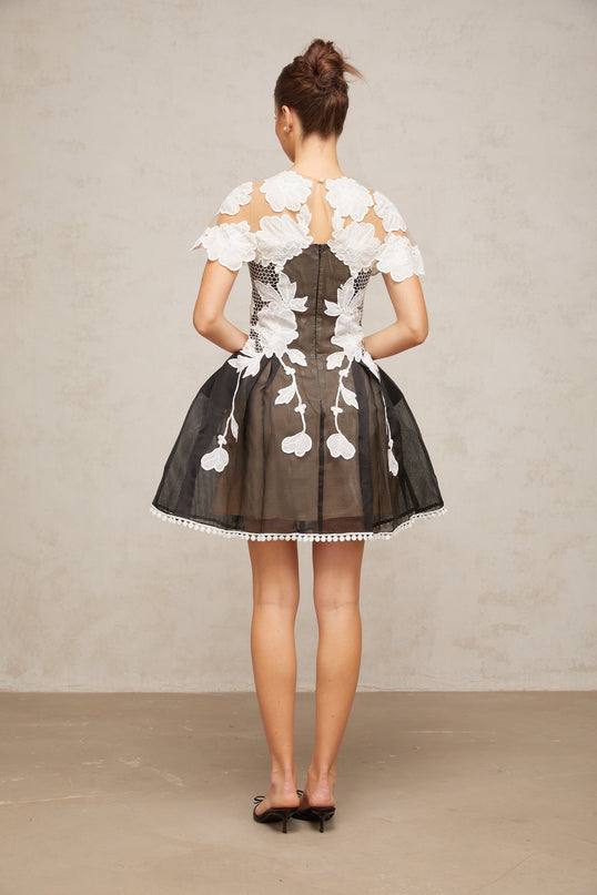 Cheyenne Black & White Floral Mesh Embroidered Mini Dress with Cap Sleeves and Pleated Detailing