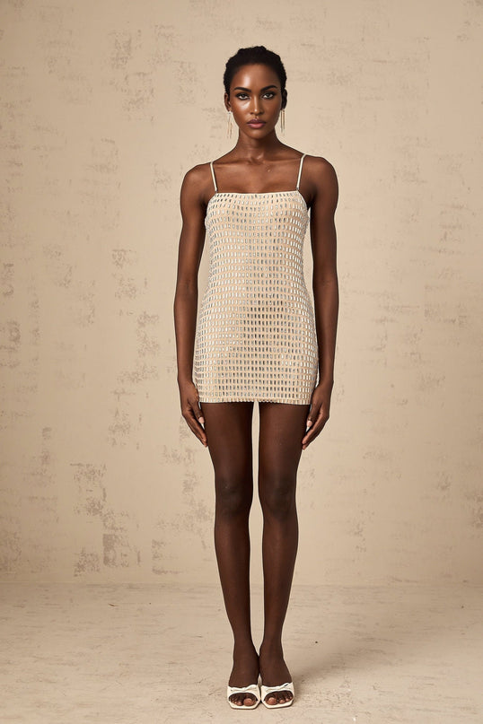 Clementina Neutrals Stud Embellished Mini Dress