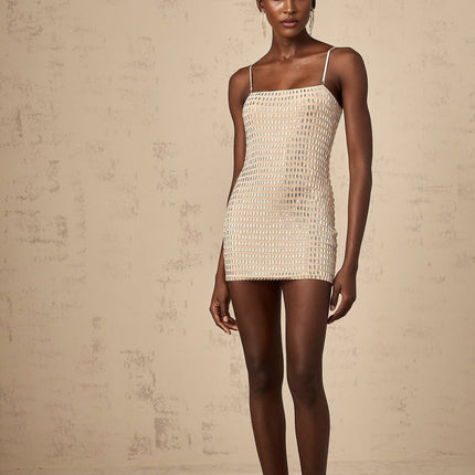 Clementina Neutrals Stud Embellished Mini Dress