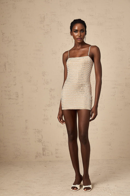 Clementina Neutrals Stud Embellished Mini Dress