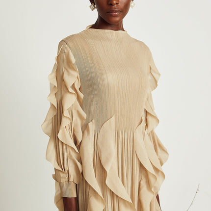 Colette ruffledtrim pleated maxi dress