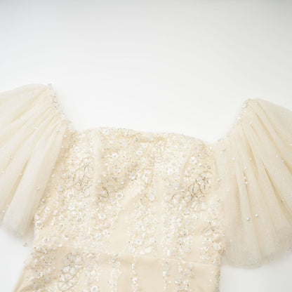 Coline sequinembellished mesh dress