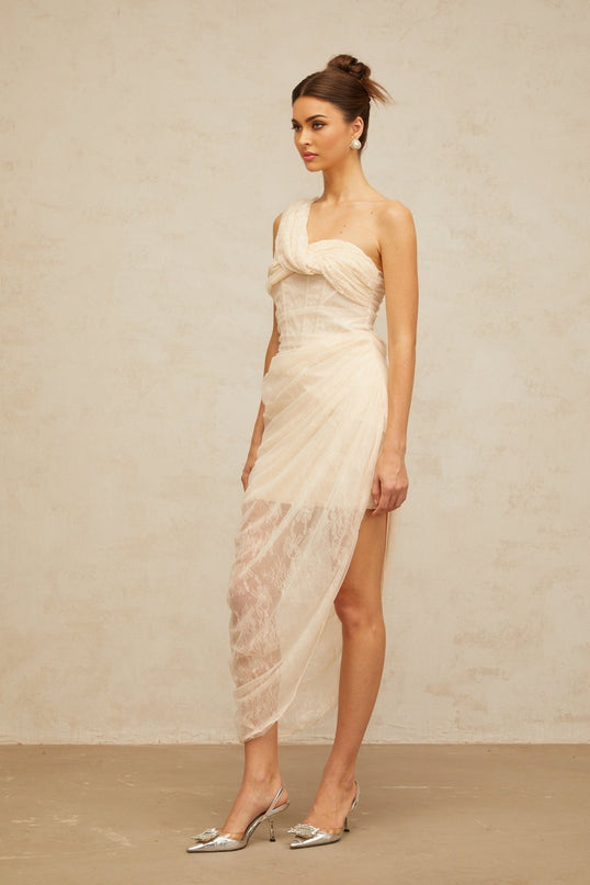 Cristiana Neutrals Floral Lace Midi Dress with Tulle Panelling and Side Slit