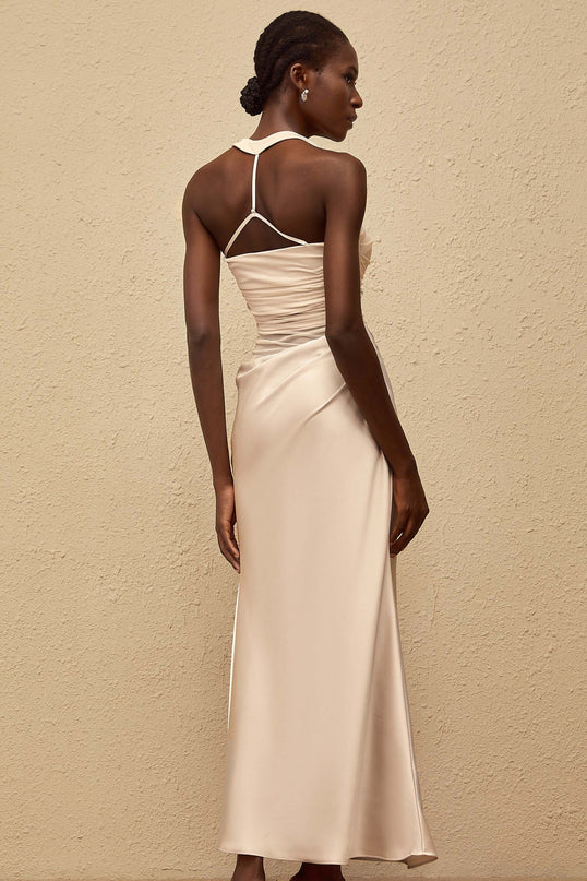 Danielle Maxi Dress Grey Mesh Paneling Ruched Detailing Fitted Waistline Flared Hem Halterneck Sleeveless Adjustable Straps Built-in Cups Bra Side Zip Fastening 100% Terylene Fiber