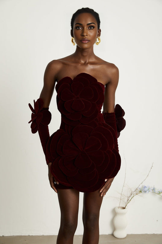 Daphne Mini Dress in Red Velvet with Floral Appliqué